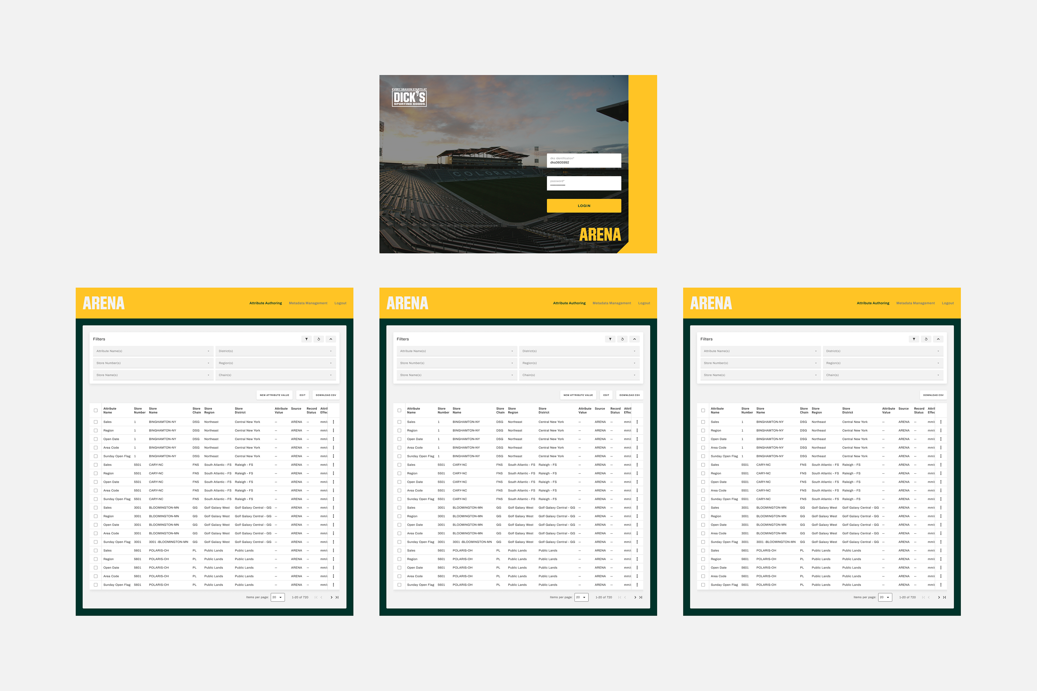 DSG Arena Application